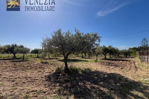 Masia a Sciacca, Agrigento, Sciacca - € 50.000 | Ref: SC04-0101 - foto 17