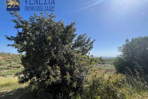 Masia a Sciacca, Agrigento, Sciacca - € 50.000 | Ref: SC04-0101 - foto 18