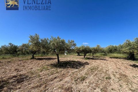 Masia a Sciacca, Agrigento, Sciacca - € 50.000 | Ref: SC04-0101 - foto 19