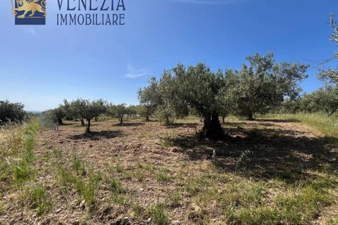 Masia a Sciacca, Agrigento, Sciacca - € 50.000 | Ref: SC04-0101 - foto 20