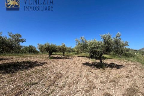 Masia a Sciacca, Agrigento, Sciacca - € 50.000 | Ref: SC04-0101 - foto 21