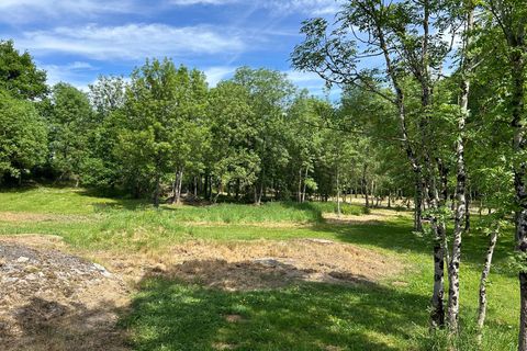 Landejendom i Chantecorps, Deux-Sevres, Chantecorps - € 238.000 | Ref: 830031587806 - foto 45