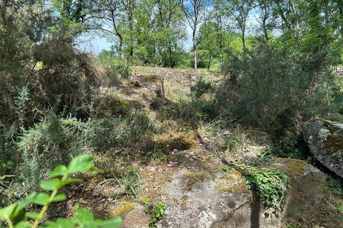 Landejendom i Chantecorps, Deux-Sevres, Chantecorps - € 238.000 | Ref: 830031587806 - foto 49