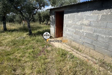 Helårsgrund i Castelo Branco, Castelo Branco, Castelo Branco - € 20.000 | Ref: 2990 - foto 1