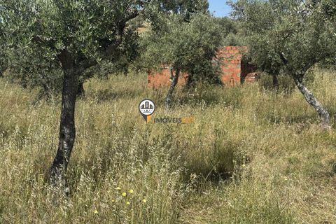 Helårsgrund i Castelo Branco, Castelo Branco, Castelo Branco - € 20.000 | Ref: 2990 - foto 3