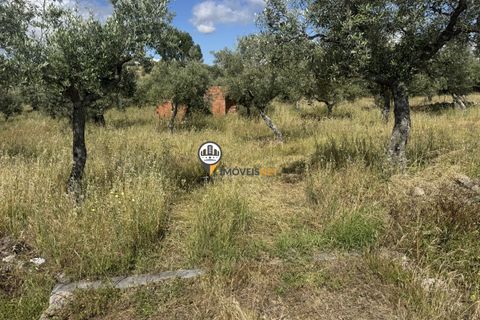 Helårsgrund i Castelo Branco, Castelo Branco, Castelo Branco - € 20.000 | Ref: 2990 - foto 7