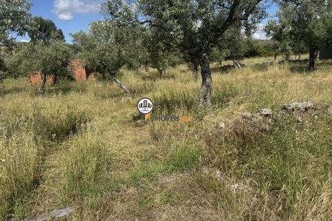 Helårsgrund i Castelo Branco, Castelo Branco, Castelo Branco - € 20.000 | Ref: 2990 - foto 8