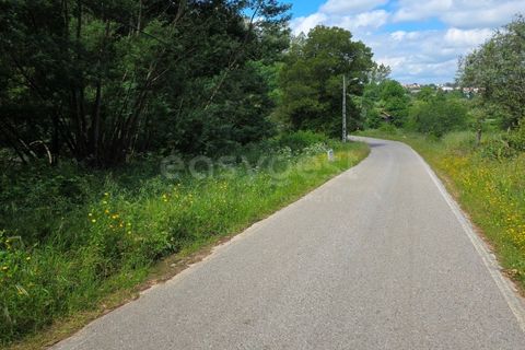 Helårsgrund i Arganil, Coimbra, Arganil - € 24.500 | Ref: RR99222 - foto 3