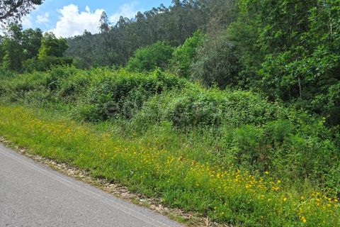 Helårsgrund i Arganil, Coimbra, Arganil - € 24.500 | Ref: RR99222 - foto 4