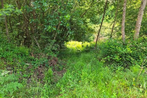 Helårsgrund i Arganil, Coimbra, Arganil - € 24.500 | Ref: RR99222 - foto 5