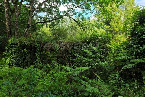 Helårsgrund i Arganil, Coimbra, Arganil - € 24.500 | Ref: RR99222 - foto 6