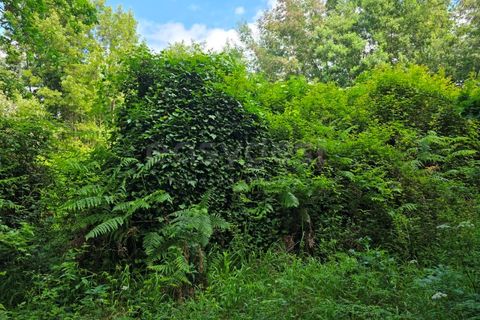 Helårsgrund i Arganil, Coimbra, Arganil - € 24.500 | Ref: RR99222 - foto 7