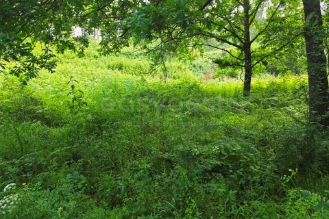 Helårsgrund i Arganil, Coimbra, Arganil - € 24.500 | Ref: RR99222 - foto 8