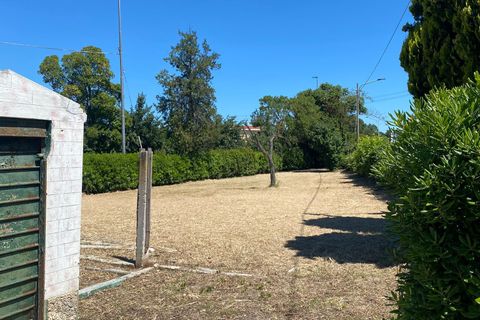 Villa a Senigallia, Ancona, Senigallia - € 160.000 | Ref: AN260 - foto 33