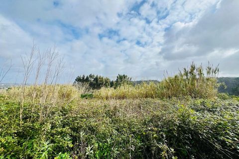 Helårsgrund i Obidos, Leiria, Obidos - € 79.900 | Ref: C0379-01032 - foto 12