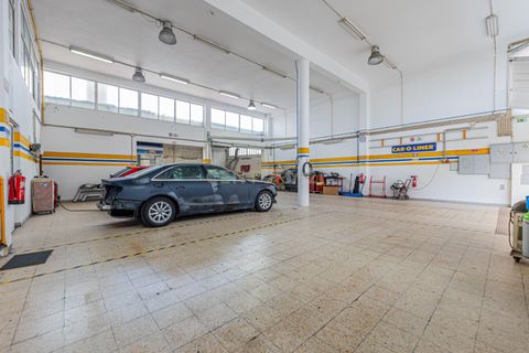 Erhvervsejendom i Amadora, Lisbon, Amadora - € 70.000 | Ref: C0379-01041 - foto 36