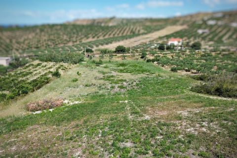 Terreno en Ribera, Agrigento, Ribera - € 40.000 | Ref: T/227 - photo 5