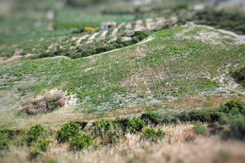 Terreno en Ribera, Agrigento, Ribera - € 40.000 | Ref: T/227 - photo 6