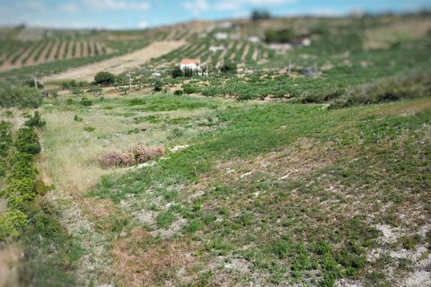 Terreno en Ribera, Agrigento, Ribera - € 40.000 | Ref: T/227 - photo 8