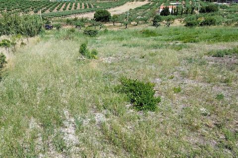 Terreno en Ribera, Agrigento, Ribera - € 40.000 | Ref: T/227 - photo 10