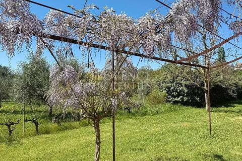 Landejendom i Flayosc, Var, Flayosc - € 680.000 | Ref: 1213 - foto 8