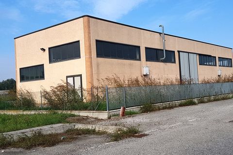 Erhvervsejendom i Copparo, Ferrara, Copparo - € 264.999 | Ref: Copparo - foto 29