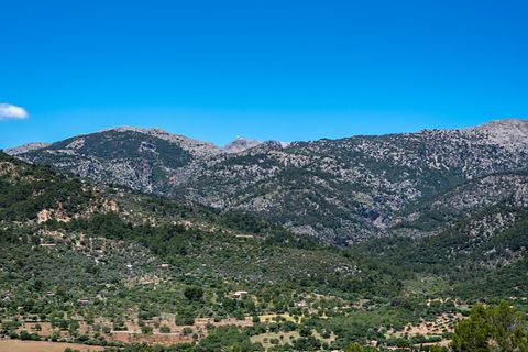 Landejendom i Selva, Mallorca, Selva - € 3.595.000 | Ref: 7143 - foto 29