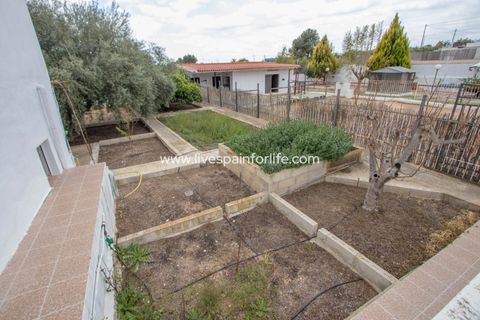 Farm i Albatera, Alicante, Albatera - € 320.000 | Ref: ALBA MBMeq-D-D - foto 26