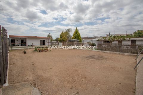 Farm i Albatera, Alicante, Albatera - € 320.000 | Ref: ALBA MBMeq-D-D - foto 27