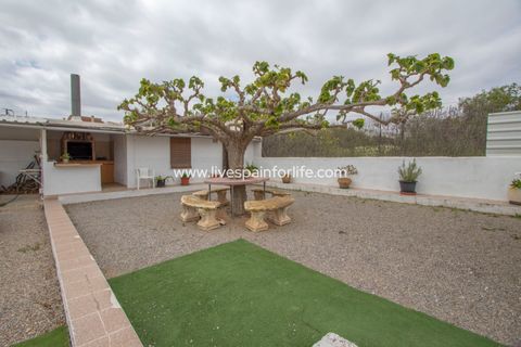 Farm i Albatera, Alicante, Albatera - € 320.000 | Ref: ALBA MBMeq-D-D - foto 28