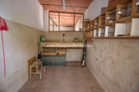 Farm i Albatera, Alicante, Albatera - € 320.000 | Ref: ALBA MBMeq-D-D - foto 37