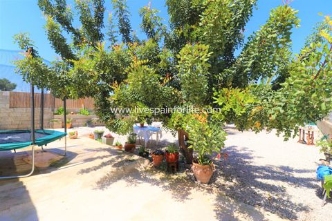 Landejendom i Dolores, Alicante, Dolores - € 210.000 | Ref: Dol MML-D-D - foto 6