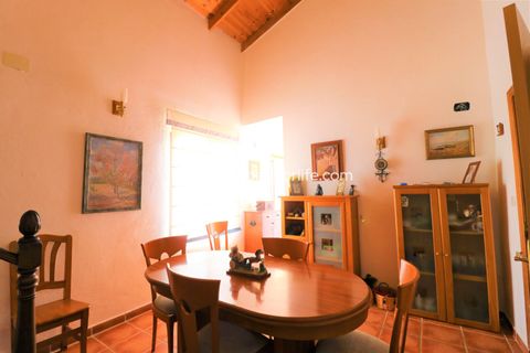 Landejendom i Dolores, Alicante, Dolores - € 210.000 | Ref: Dol MML-D-D - foto 16