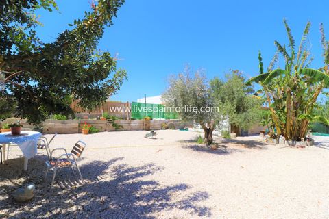 Landejendom i Dolores, Alicante, Dolores - € 210.000 | Ref: Dol MML-D-D - foto 32