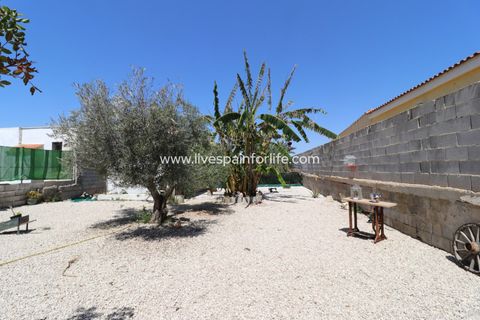Landejendom i Dolores, Alicante, Dolores - € 210.000 | Ref: Dol MML-D-D - foto 33