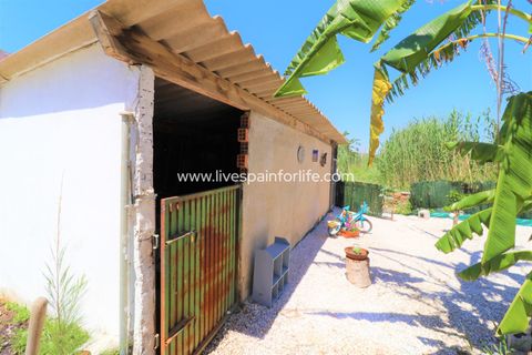 Landejendom i Dolores, Alicante, Dolores - € 210.000 | Ref: Dol MML-D-D - foto 34
