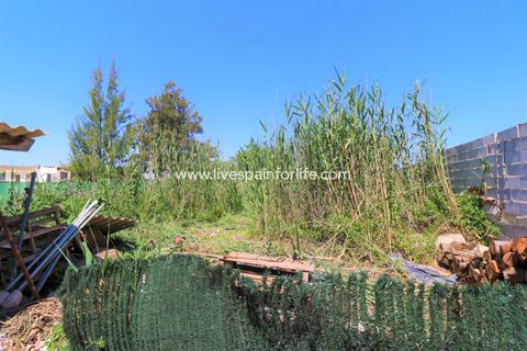 Landejendom i Dolores, Alicante, Dolores - € 210.000 | Ref: Dol MML-D-D - foto 35