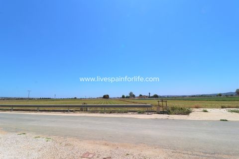 Landejendom i Dolores, Alicante, Dolores - € 210.000 | Ref: Dol MML-D-D - foto 38