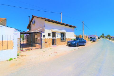 Landejendom i Dolores, Alicante, Dolores - € 210.000 | Ref: Dol MML-D-D - foto 39