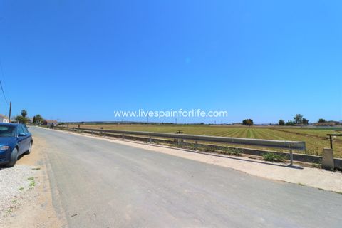 Landejendom i Dolores, Alicante, Dolores - € 210.000 | Ref: Dol MML-D-D - foto 40