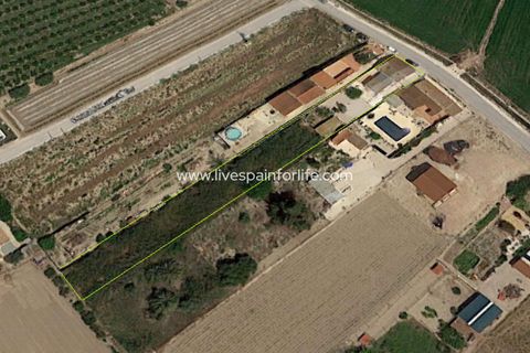 Landejendom i Dolores, Alicante, Dolores - € 210.000 | Ref: Dol MML-D-D - foto 41