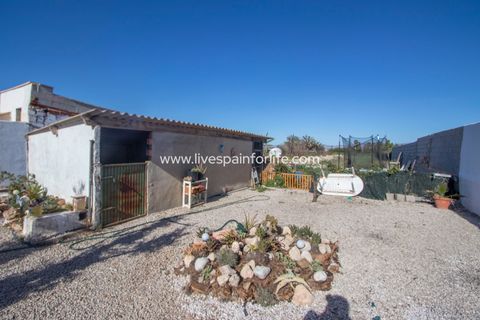 Landejendom i Dolores, Alicante, Dolores - € 210.000 | Ref: Dol MML-D-D - foto 42