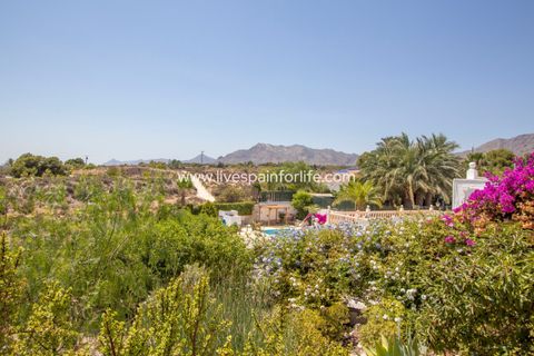 Landejendom i Albatera, Alicante, Albatera - € 415.000 | Ref: Alba CB-D - foto 3