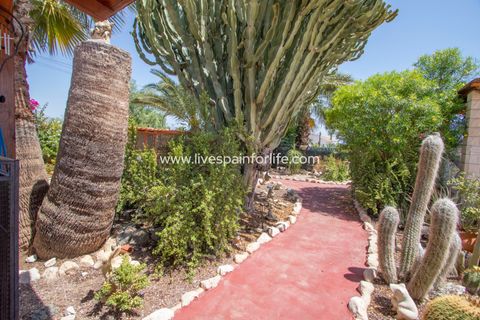 Landejendom i Albatera, Alicante, Albatera - € 415.000 | Ref: Alba CB-D - foto 30
