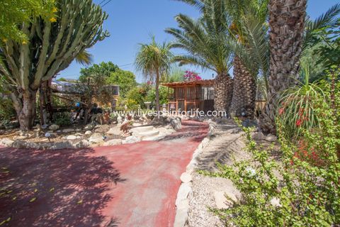 Landejendom i Albatera, Alicante, Albatera - € 415.000 | Ref: Alba CB-D - foto 31