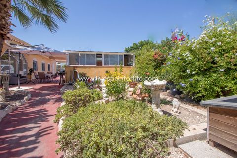 Landejendom i Albatera, Alicante, Albatera - € 415.000 | Ref: Alba CB-D - foto 33
