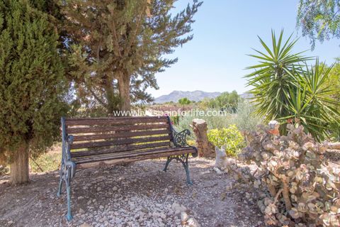 Landejendom i Albatera, Alicante, Albatera - € 415.000 | Ref: Alba CB-D - foto 40
