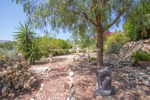 Landejendom i Albatera, Alicante, Albatera - € 415.000 | Ref: Alba CB-D - foto 41