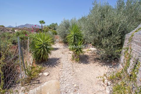 Landejendom i Albatera, Alicante, Albatera - € 415.000 | Ref: Alba CB-D - foto 42