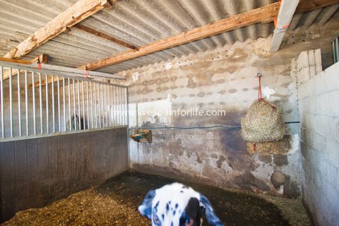 Farm i Monovar, Alicante, Monovar - € 200.000 | Ref: Mon KGeq - foto 26